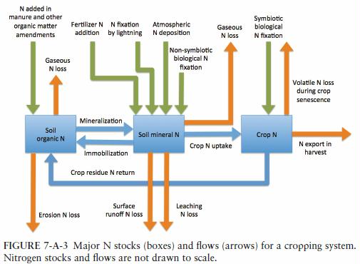 nitrogen-flows-in-agriculture