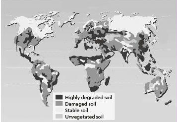soil health globally ugo bardi extracted
